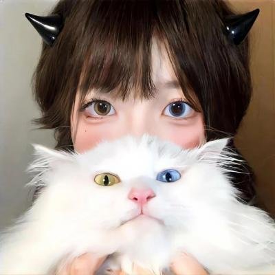 律政新人王2国语